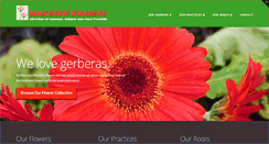 Desktop Screenshot of maximumnursery.com